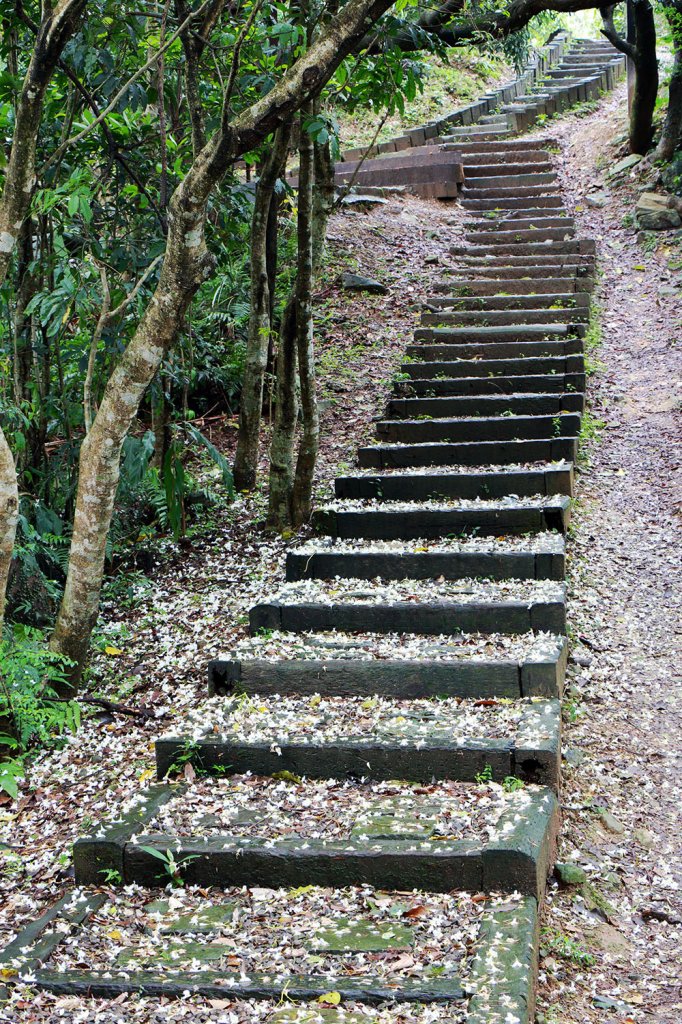 待老坑山。銀河洞_535869