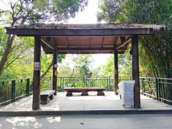 嘉義東區~林蔭步道森林浴~蘭潭後山步道_1283931