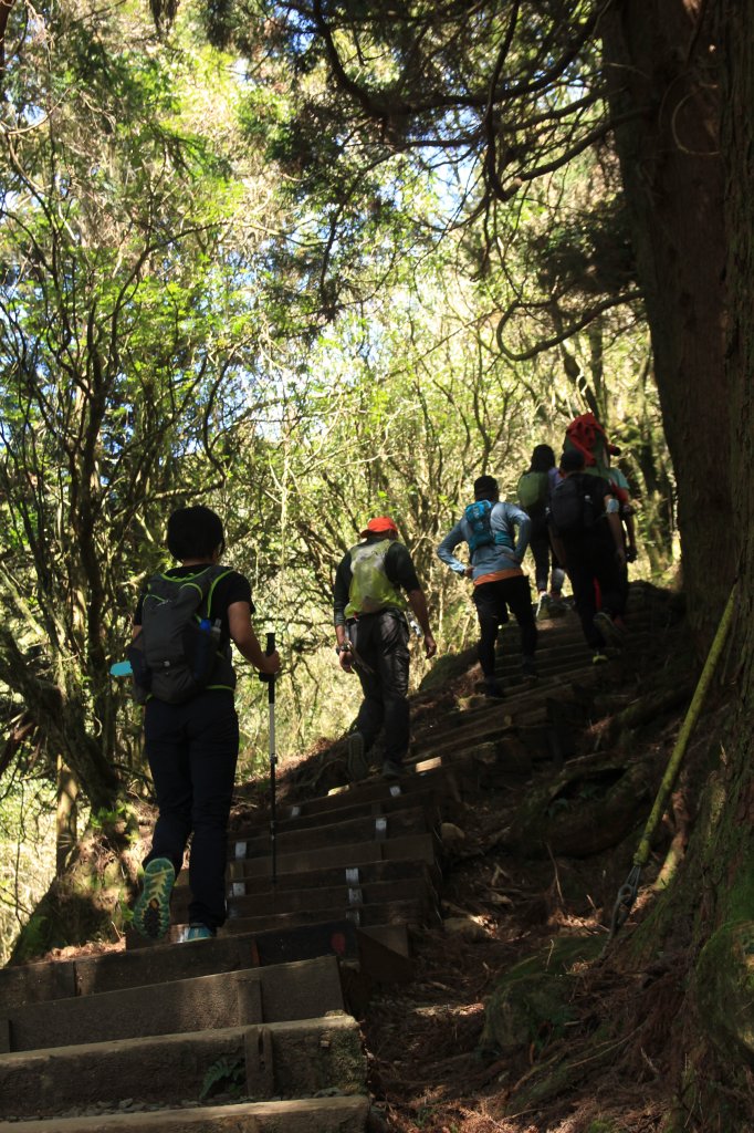 阿里山的櫻花前戲_1635068