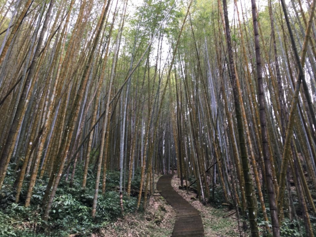 奮起湖步道神社遺址_558885