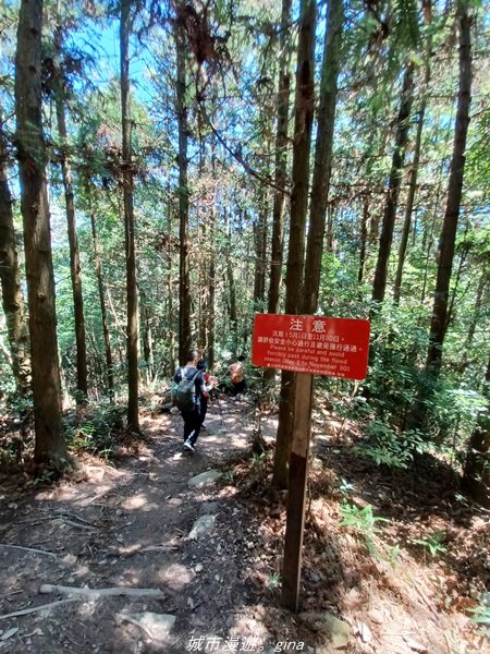 【台中和平】2022「谷關七雄，慢旅台中」登山活動認證。七雄中唯一有瀑布景觀~ 唐麻丹山x蝴蝶谷瀑布_1775972