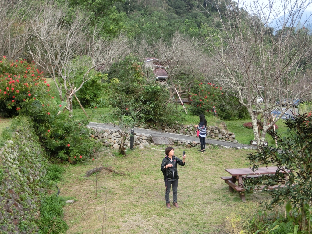 棲蘭山莊．神木園．明池_93398