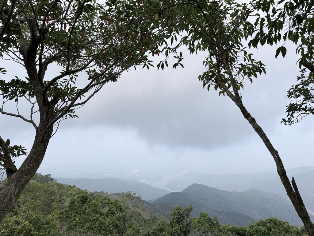 大漢林道登山趣(力里山.具馬奴山.崁頭窩山)  2026.3.28_3028015