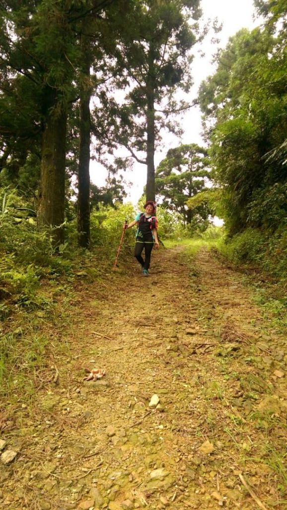 107.07.14 宜蘭圓通寺>鵲子山東北峰>鵲子山主峰>回圓通寺 0型路線_365180