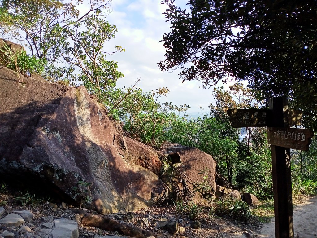 巨石嶙峋的金面山親山步道【南山神壽任務】_1959627