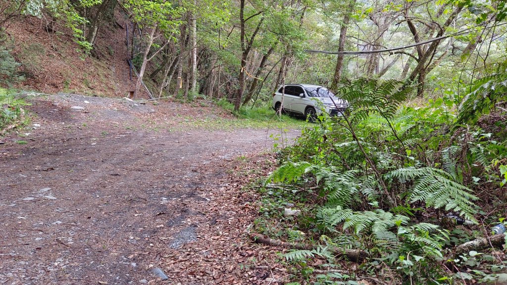 百岳C級路線之佳陽山_2091124