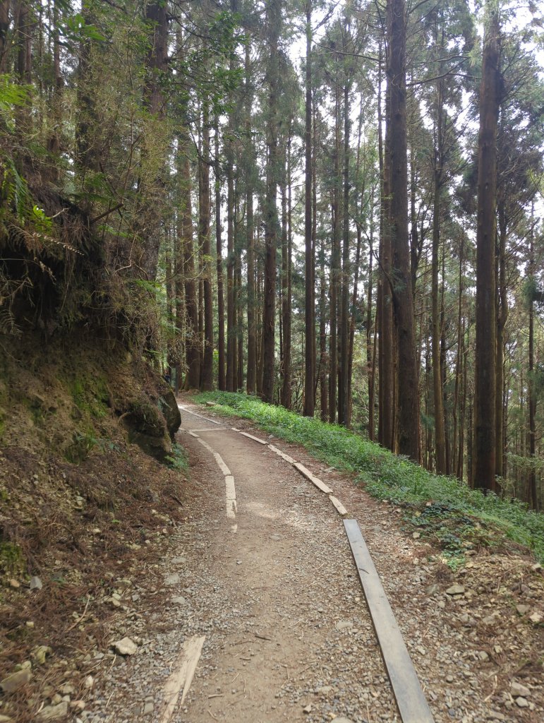 2026.02.14－特富野古道_3013690