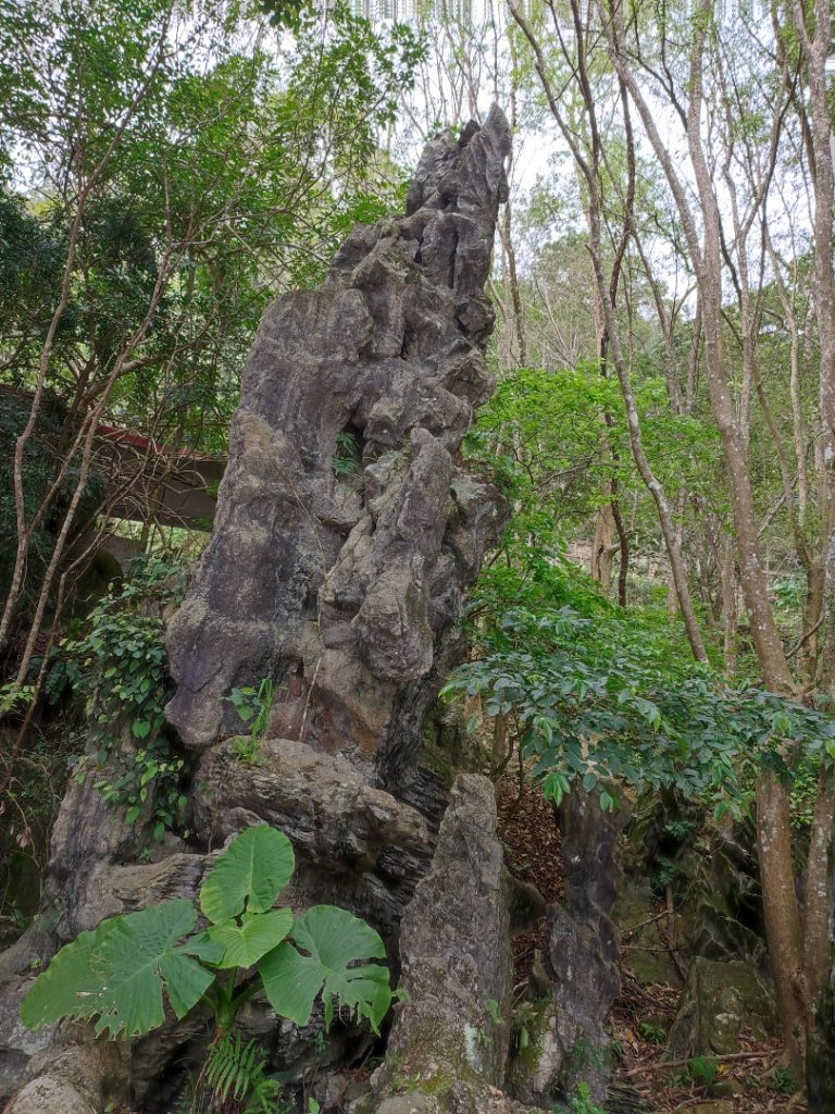 2019健行獅頭山_1645869