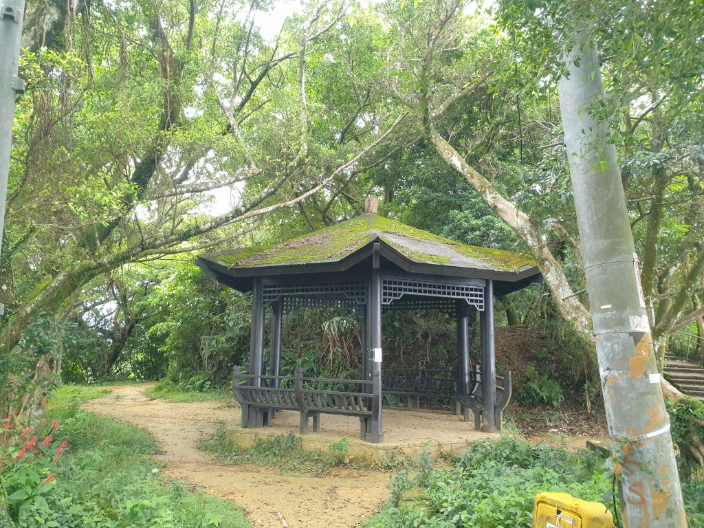 臺北大縱走第六段_1516115