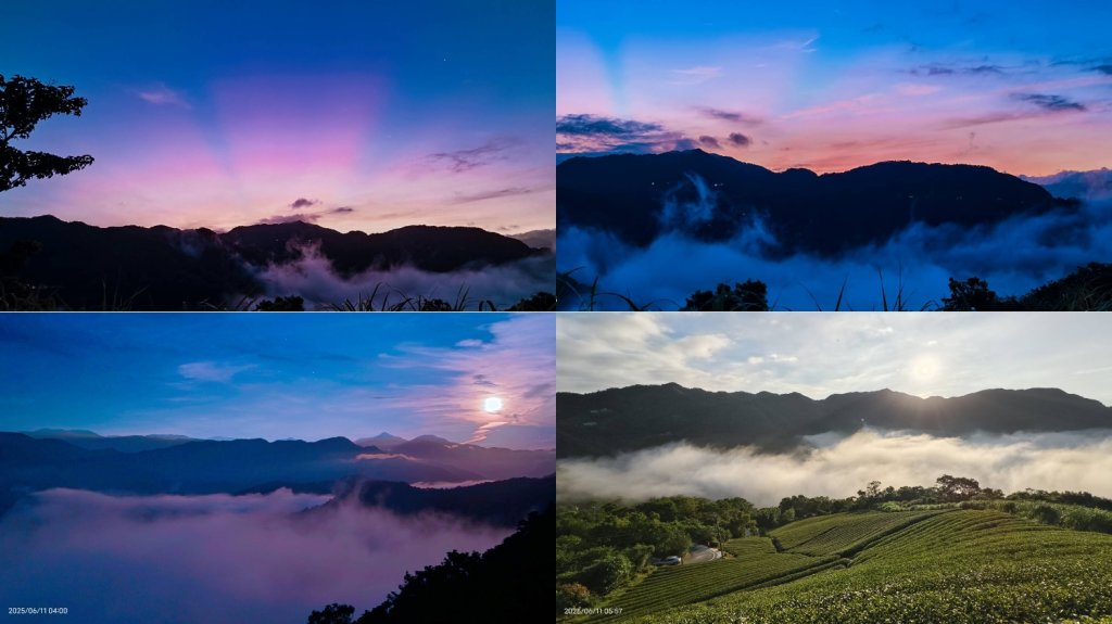跟著雲海達人山友追雲趣 #草莓月亮 #月圓雲海 #霞光 #日出雲海 #茶園 6/11封面圖