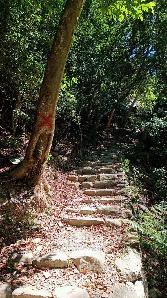 知本國家森林遊樂區步道_1775705