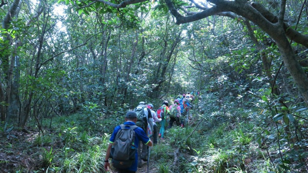 東北角嶐嶐山_374996