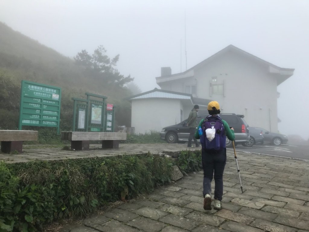 20190525奇萊主峰單攻杜鵑之美_593873