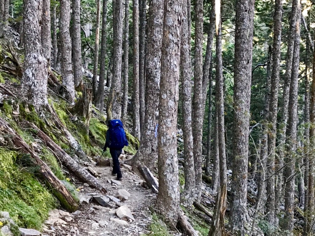 雪山下翠池三日行_689102