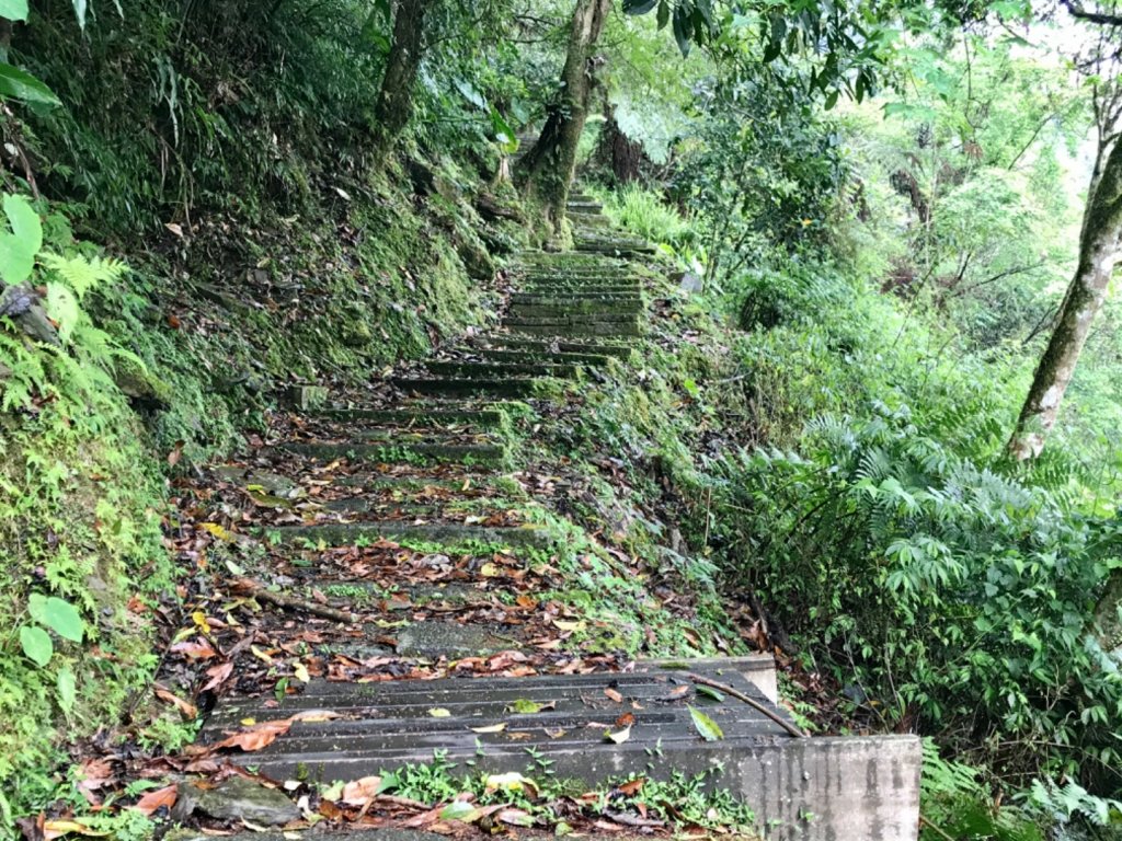 雨霧散遊太平山_885840