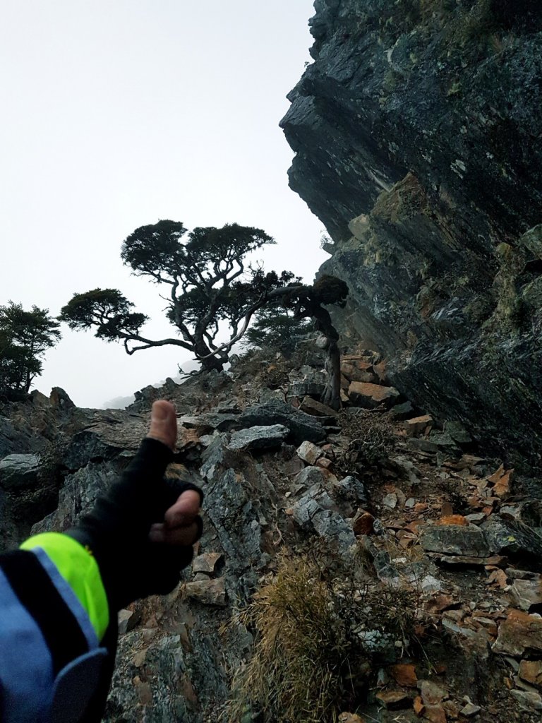 難忘的武陵四秀之品田山.池有山.桃山_854253
