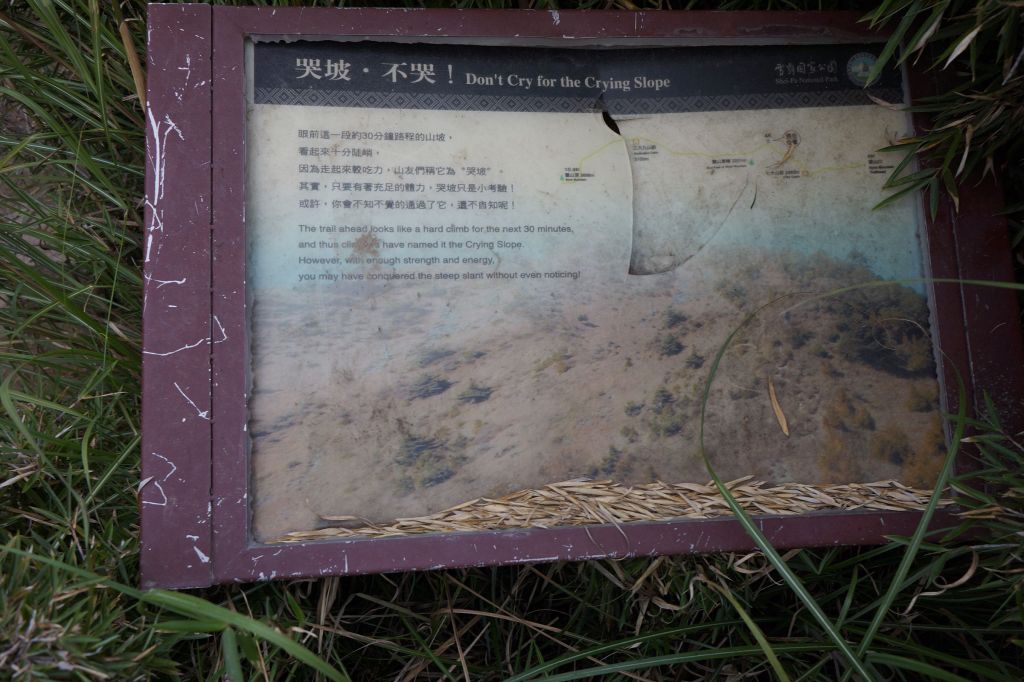 雪山主東行_399131