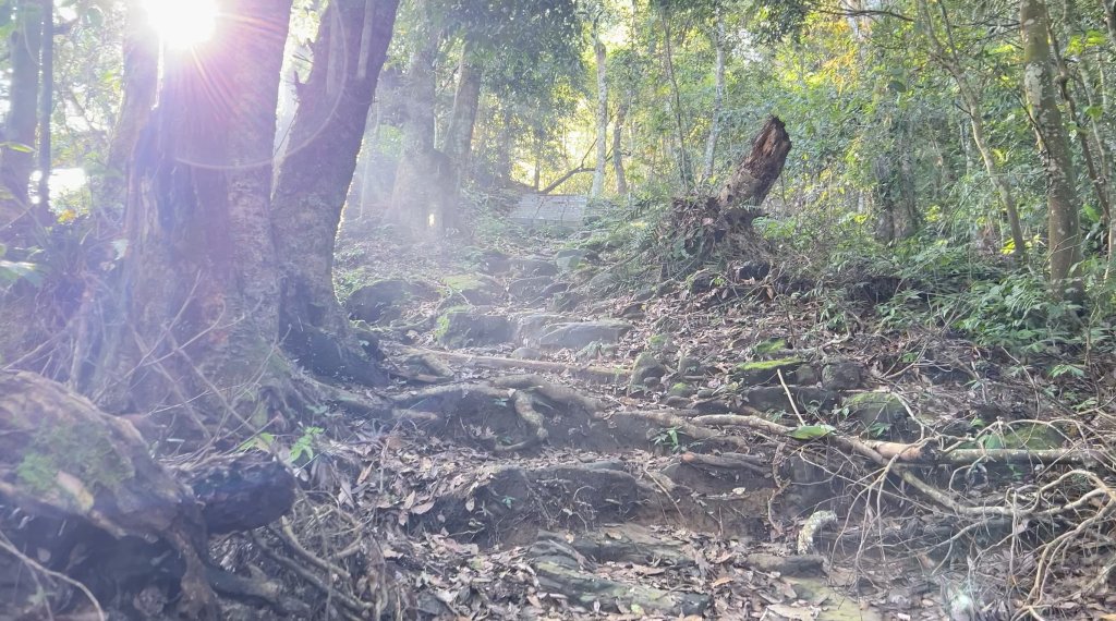 馬那邦山_2597594