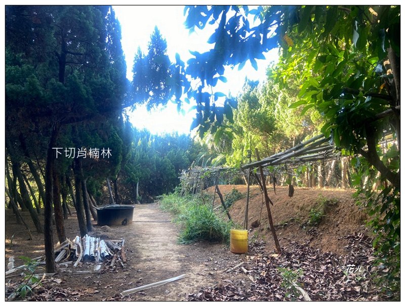 乞食崙 ( 台中/大肚山 )_2937404