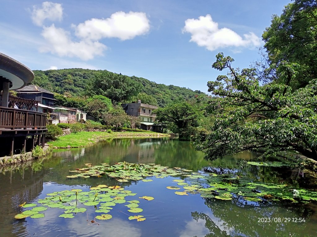 天母→猴洞→半嶺步道→第二展望臺→湖底步道→湖山國小步道→湖山綠地→前山公園→陽明醫院舊址→白雲瀑布封面圖