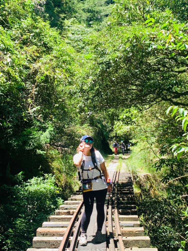 阿里山祝山日出，塔山步道，眠月線_1776840
