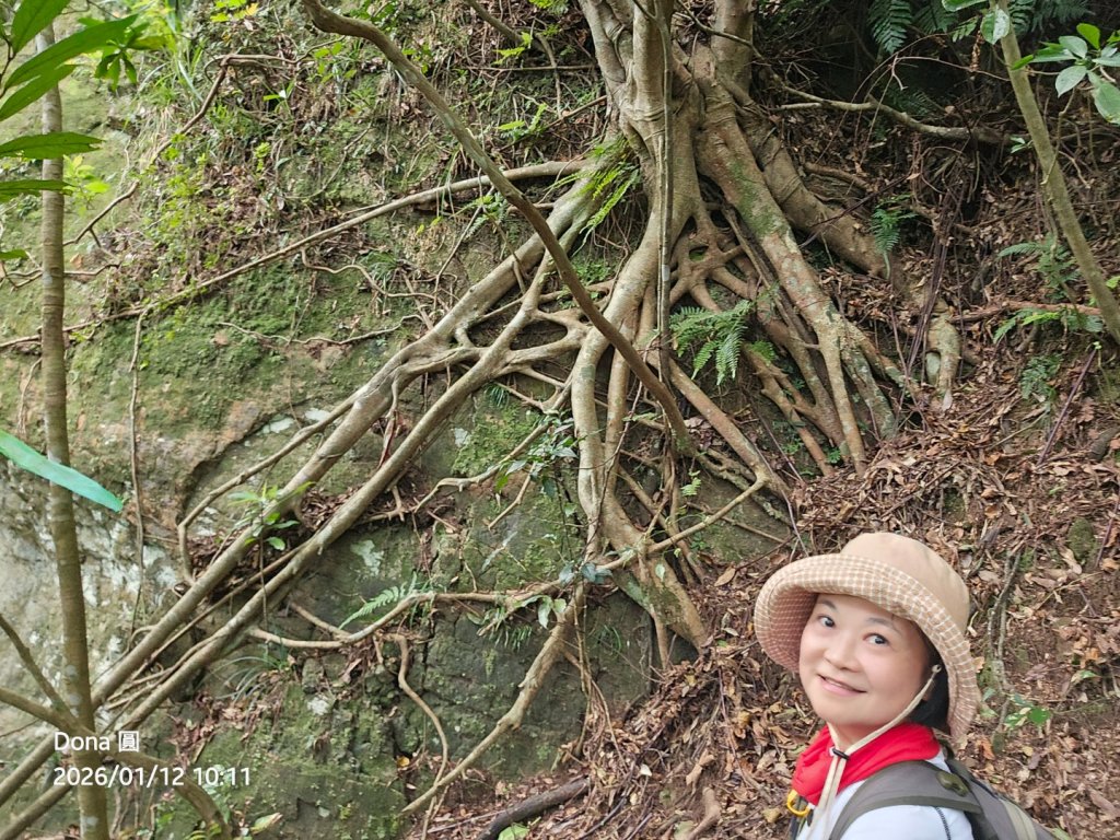 20260112月扇湖山&四分子古道O走+烏塗溪步道_2986559
