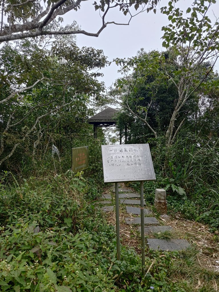九份二山_2651915