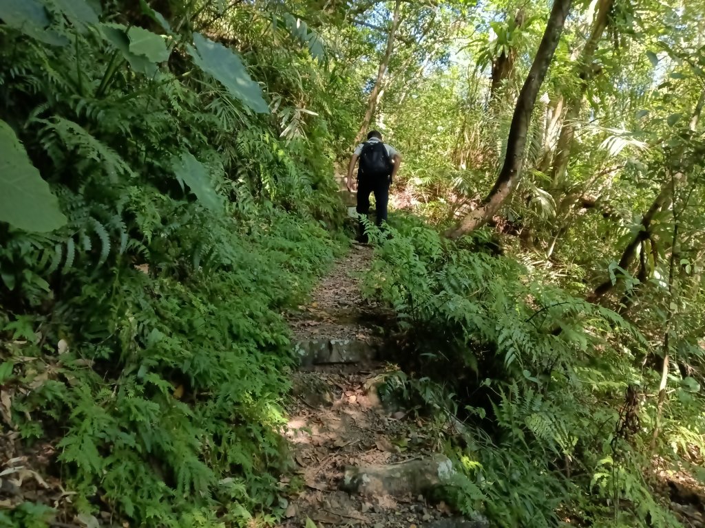 坪林區南闊瀨行(枋山坑古道+枋山坑崙+闊瀨越嶺保甲路O型)_2916754