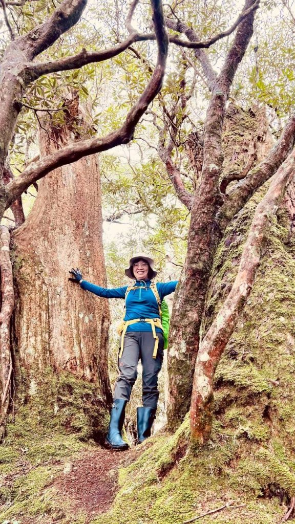 🌈4/13（日）（三）魔法森林-塔曼山~FB：熊熊趴爬走🌈_2761306