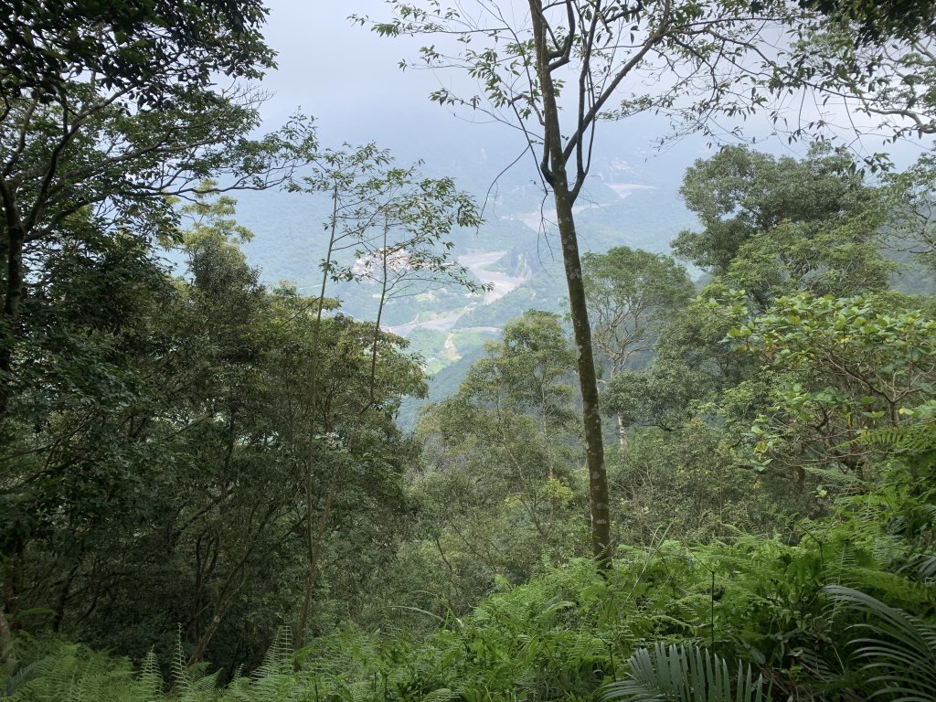 20250809高雄尾寮山(第21刷)_2857313