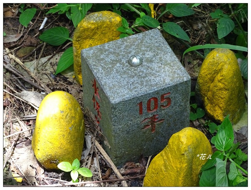 台中/大坑4號步道_634953