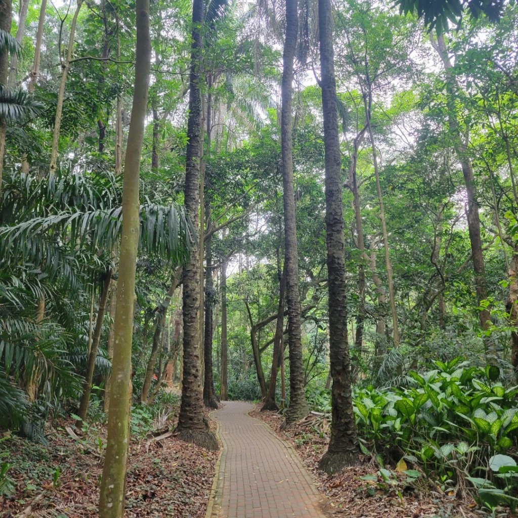 嘉義公園封面圖