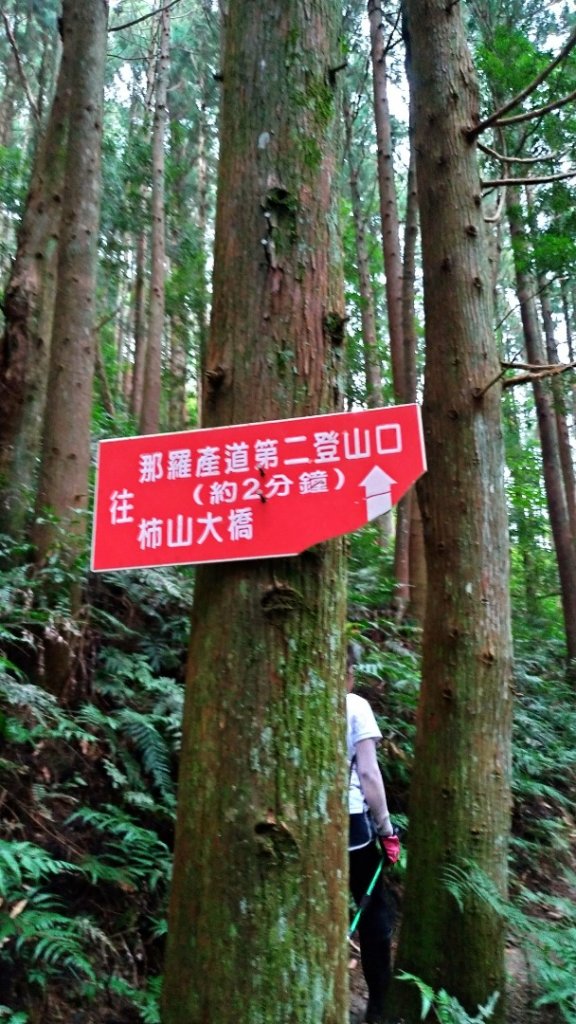 高島縱走_1453619