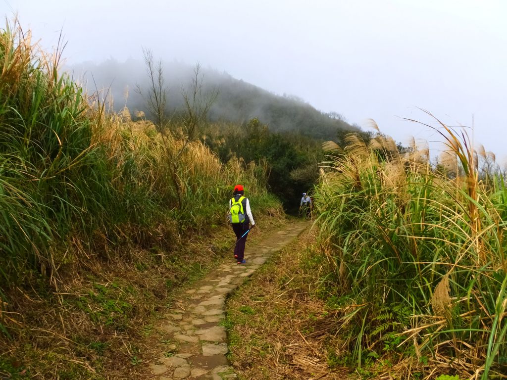 頂山石梯嶺步道_270118