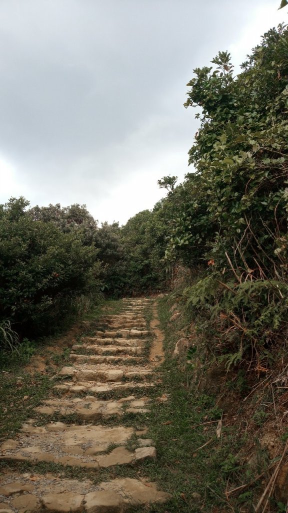 小小冒險王(小錐麓古道-小鬼瀑布)_1842681