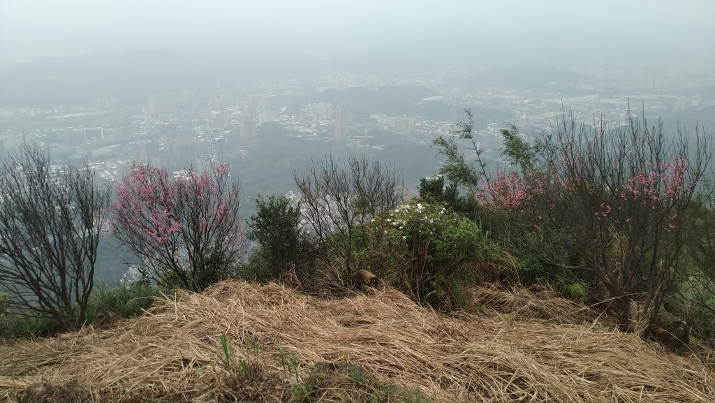 2020.2.28大尖山步道之旅_1411198