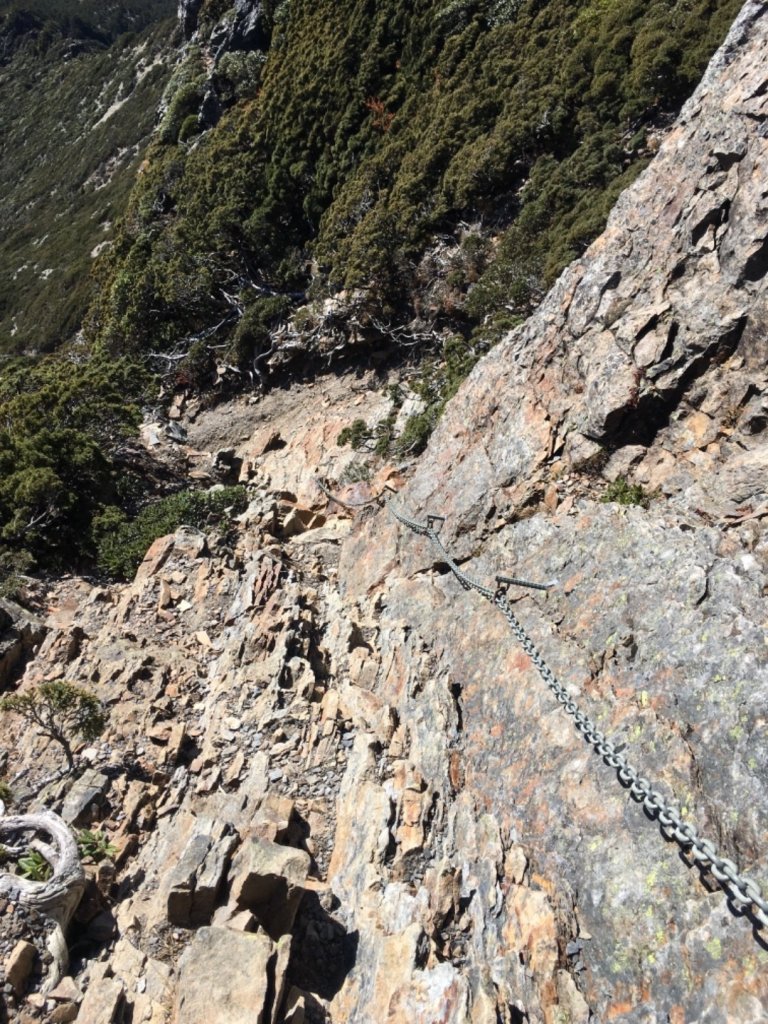 玉山主東西單攻_783557