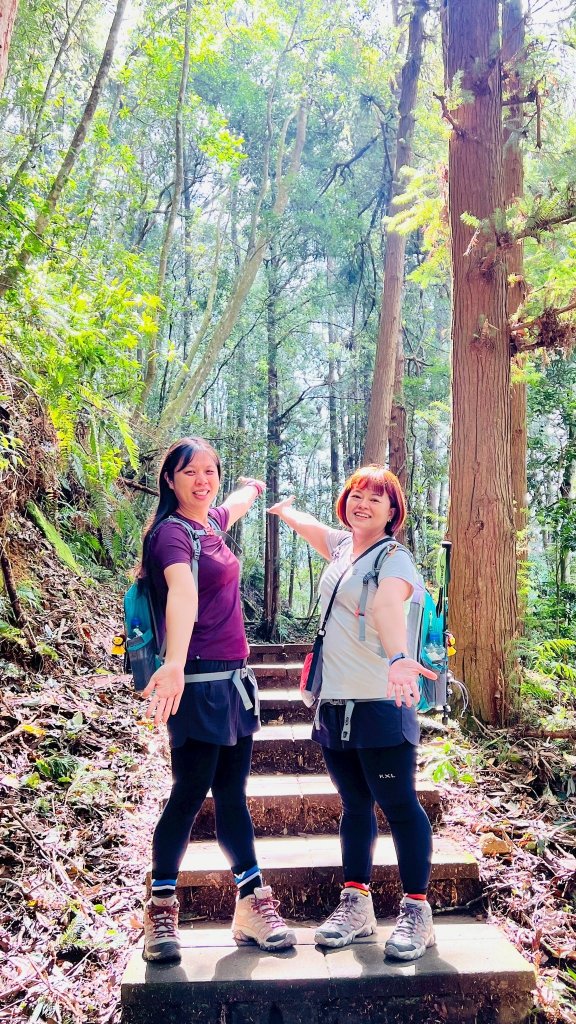 🌈17（日）雲嶺之丘+五元二角+木馬古道✨FB：熊熊趴爬走🌈_2861682