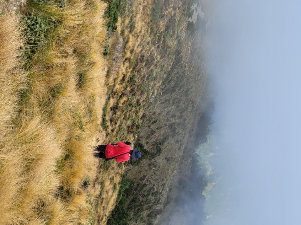 20231103 南一段四天_2356005