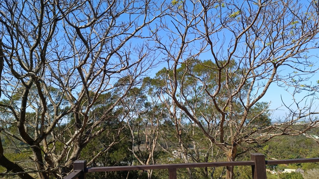 造橋口山&菜瓜窩山_2014302