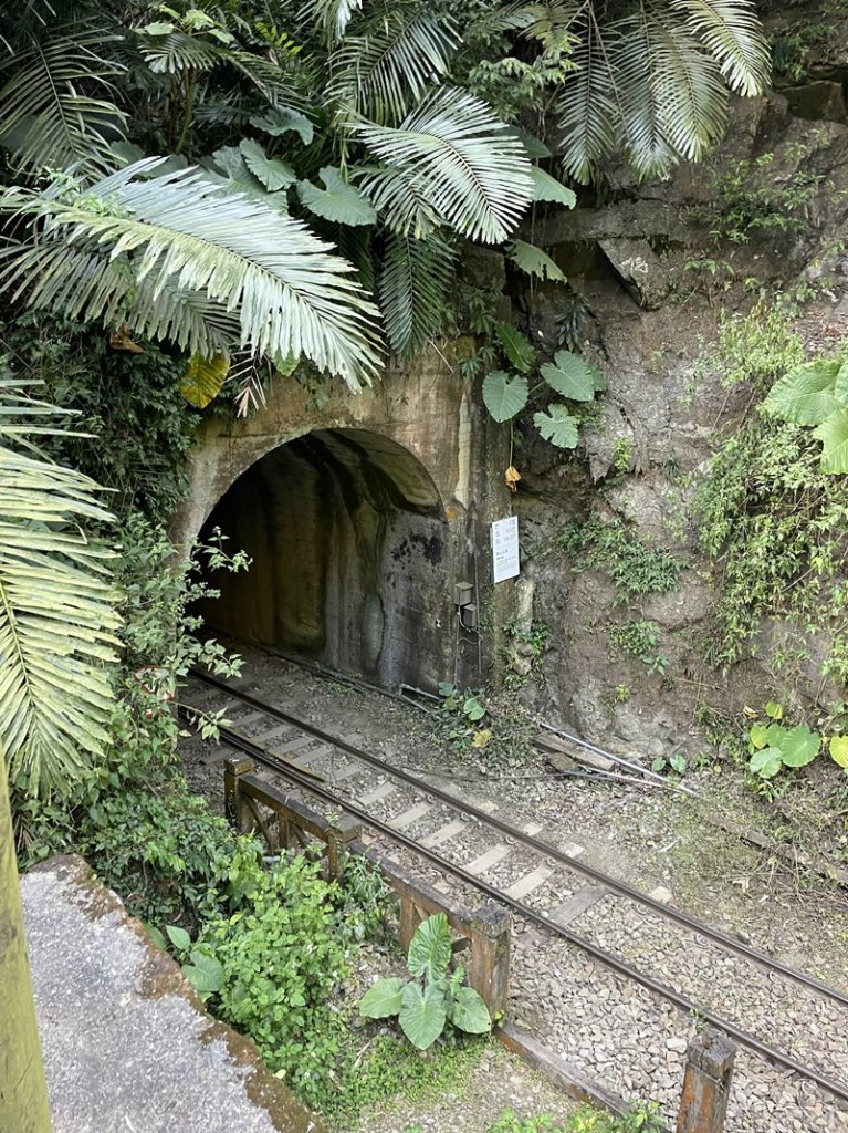 雲嘉七連峰_2663125