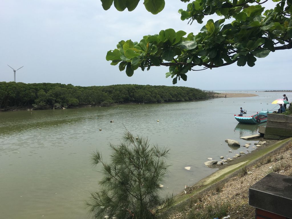 新豐紅樹林生態保護區_397733