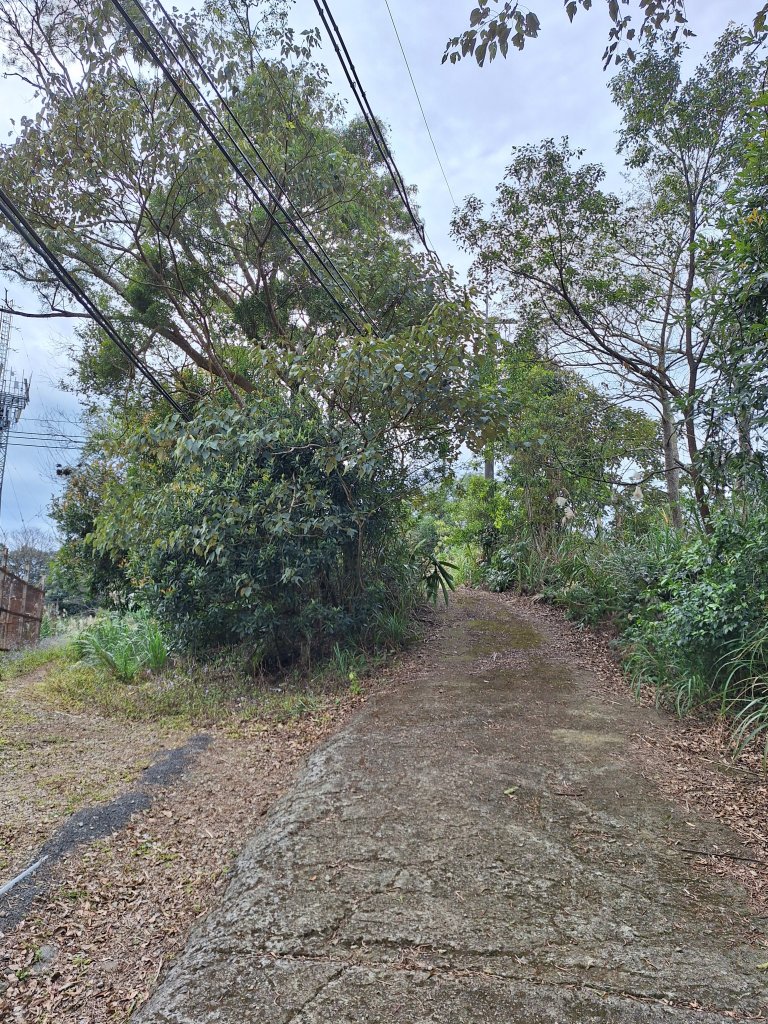 仙山古道群峰O型_2693723