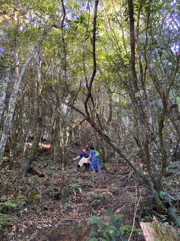 高島縱走_1921471