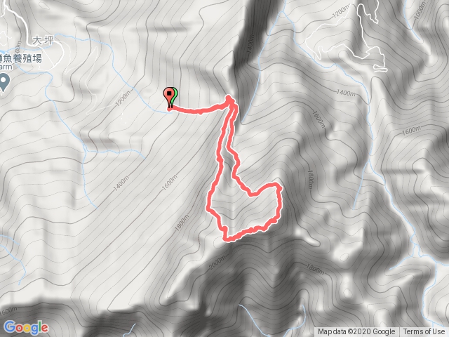 大坪登山口連走杜鵑嶺、加里山
