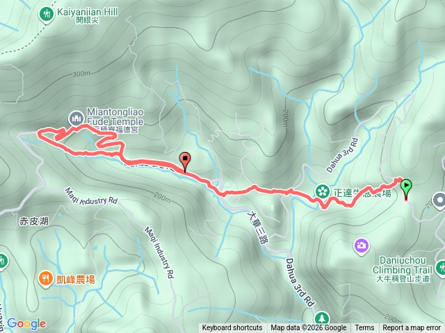 2026-01-14 藍天隊 淡基橫斷：大牛稠到面桶寮 修徑