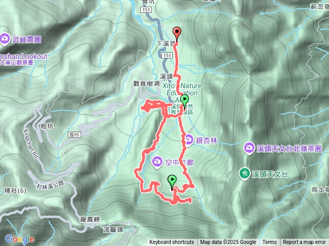 溪頭閒晃預覽圖