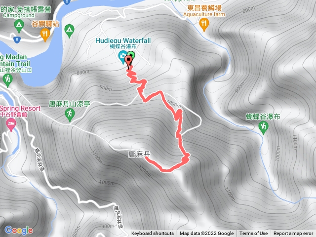 唐麻丹（松鶴上）