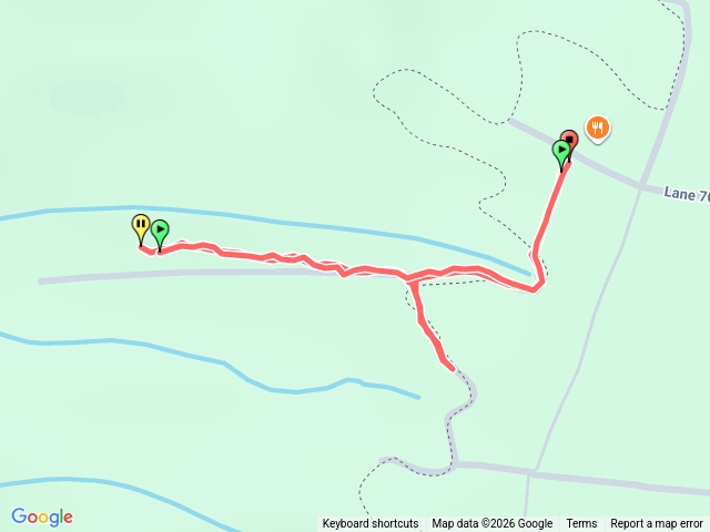 260201微光森林進石坑四巷預覽圖