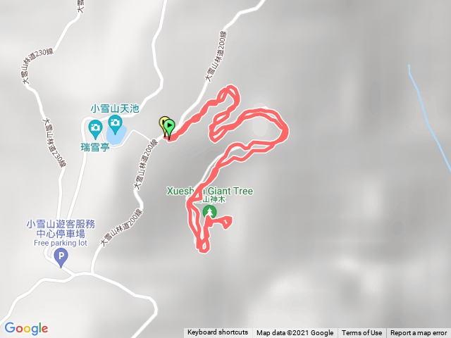 20210906雪山神木步道
